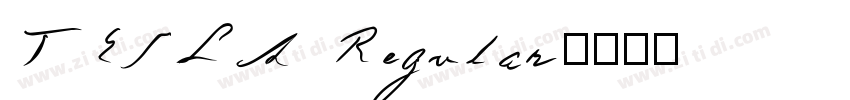 TESLA Regular字体转换